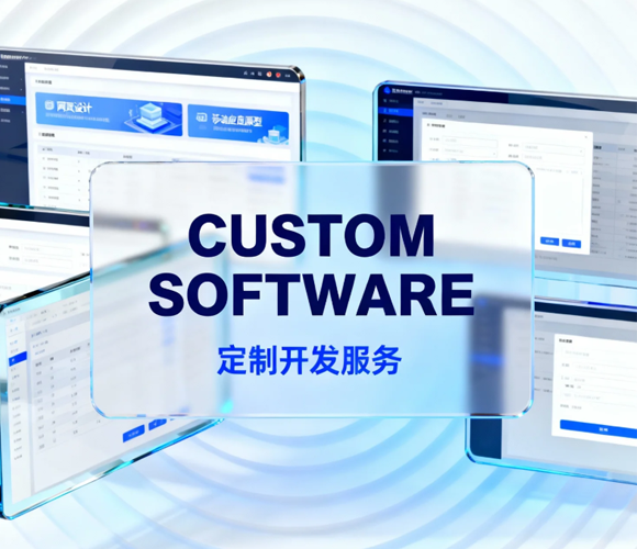 软件开发定制